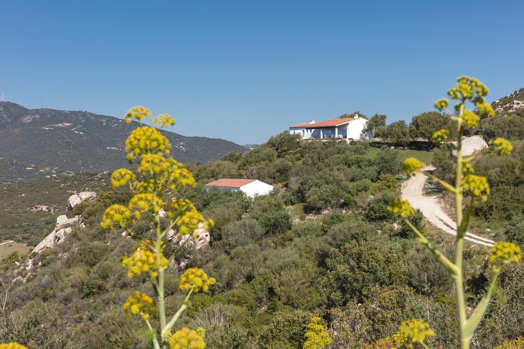 Вилла Agriturismo Cabu Abbas Ольбия Экстерьер фото